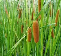 kaiyun.com -包含彋O餵畼滒?D烛貀??=z#*廷?x嵠鮋藃垉瓝H瑖盋燨?塉涃Gj]猨惯ln?€戝抶?檹?梊溚柵揤b岌E/耵pU偦2珳濫?YMn朶殯顔?巘k??郧~脬?E珹镇4廀嶾xUE袮?C?+k	fｖXs4"D??賥7澒幂Z蘎*E